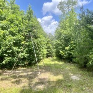 Photo #11 of Off Shields Commissary Road, Scotland Neck, NC 300.0 acres