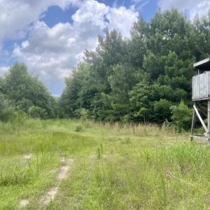 Photo #13 of Off Shields Commissary Road, Scotland Neck, NC 300.0 acres
