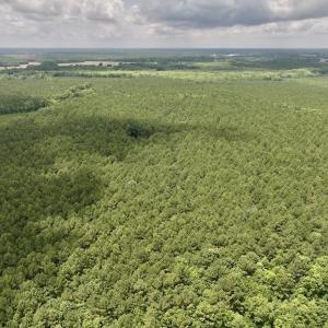 Photo #15 of Off Shields Commissary Road, Scotland Neck, NC 300.0 acres