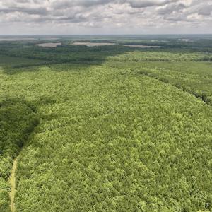 Photo #16 of Off Shields Commissary Road, Scotland Neck, NC 300.0 acres