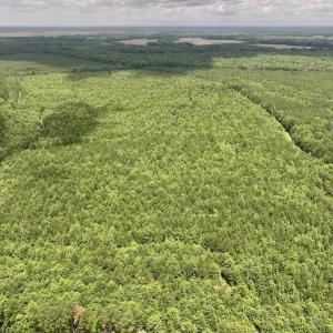 Photo #17 of Off Shields Commissary Road, Scotland Neck, NC 300.0 acres