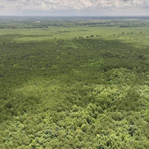 Photo #1 of Off Shields Commissary Road, Scotland Neck, NC 300.0 acres