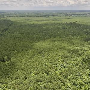 Photo #2 of Off Shields Commissary Road, Scotland Neck, NC 300.0 acres