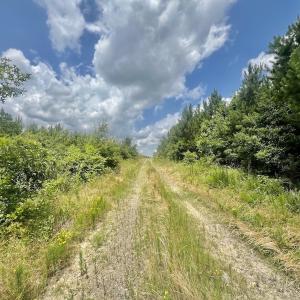 Photo #9 of Off Shields Commissary Road, Scotland Neck, NC 300.0 acres
