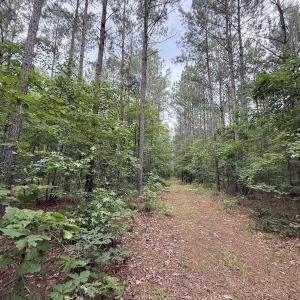 Photo #21 of Off Shields Commissary Road, Scotland Neck, NC 300.0 acres