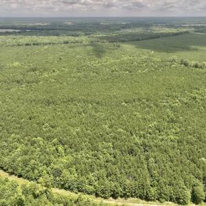 Photo #26 of Off Shields Commissary Road, Scotland Neck, NC 300.0 acres