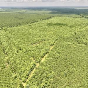 Photo #27 of Off Shields Commissary Road, Scotland Neck, NC 300.0 acres