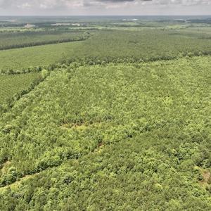 Photo #28 of Off Shields Commissary Road, Scotland Neck, NC 300.0 acres