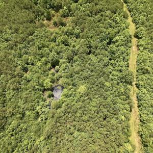 Photo #30 of Off Shields Commissary Road, Scotland Neck, NC 300.0 acres