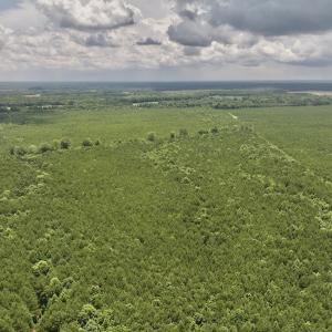 Photo #31 of Off Shields Commissary Road, Scotland Neck, NC 300.0 acres