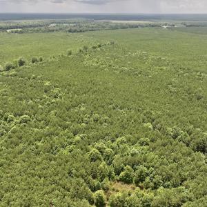 Photo #32 of Off Shields Commissary Road, Scotland Neck, NC 300.0 acres