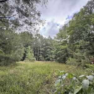 Photo #38 of Off Shields Commissary Road, Scotland Neck, NC 300.0 acres