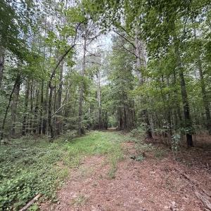 Photo #39 of Off Shields Commissary Road, Scotland Neck, NC 300.0 acres