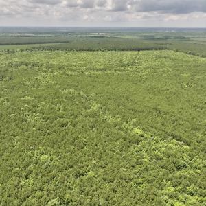 Photo #40 of Off Shields Commissary Road, Scotland Neck, NC 300.0 acres