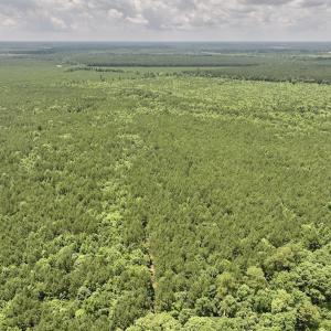 Photo #41 of Off Shields Commissary Road, Scotland Neck, NC 300.0 acres