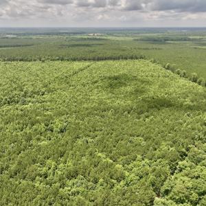 Photo #42 of Off Shields Commissary Road, Scotland Neck, NC 300.0 acres