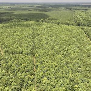 Photo #43 of Off Shields Commissary Road, Scotland Neck, NC 300.0 acres