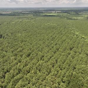 Photo #44 of Off Shields Commissary Road, Scotland Neck, NC 300.0 acres