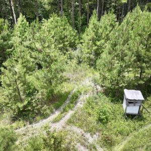 Photo #47 of Off Shields Commissary Road, Scotland Neck, NC 300.0 acres