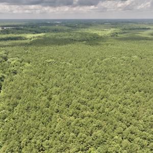 Photo #48 of Off Shields Commissary Road, Scotland Neck, NC 300.0 acres