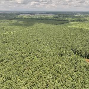 Photo #49 of Off Shields Commissary Road, Scotland Neck, NC 300.0 acres