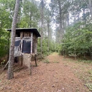 Photo #53 of Off Shields Commissary Road, Scotland Neck, NC 300.0 acres