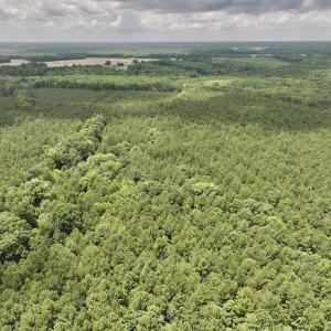Photo #55 of Off Shields Commissary Road, Scotland Neck, NC 300.0 acres