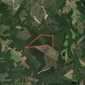 Photo #59 of Off Shields Commissary Road, Scotland Neck, NC 300.0 acres