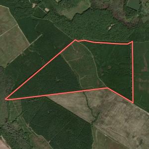 Photo #60 of Off Shields Commissary Road, Scotland Neck, NC 300.0 acres