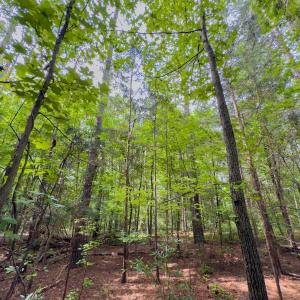 Photo #12 of Off Powell Ave, Lancaster, SC 6.4 acres