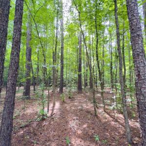 Photo #13 of Off Powell Ave, Lancaster, SC 6.4 acres