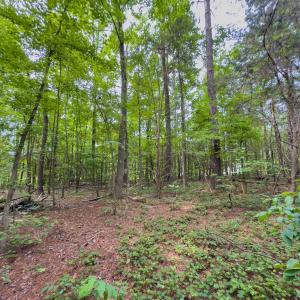 Photo #18 of Off Powell Ave, Lancaster, SC 6.4 acres