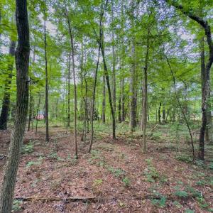 Photo #6 of Off Powell Ave, Lancaster, SC 6.4 acres