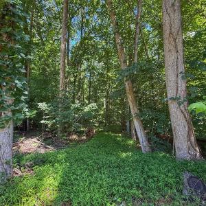 Photo #22 of 2212 Woodnell Dr, Raleigh, NC 0.5 acres