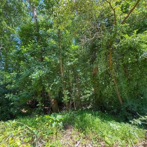 Photo #23 of 2212 Woodnell Dr, Raleigh, NC 0.5 acres
