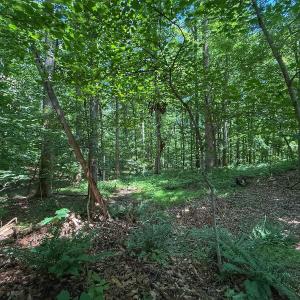 Photo #24 of 2212 Woodnell Dr, Raleigh, NC 0.5 acres
