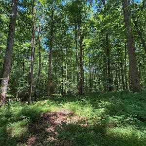 Photo #25 of 2212 Woodnell Dr, Raleigh, NC 0.5 acres