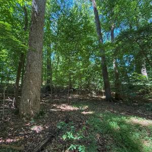 Photo #26 of 2212 Woodnell Dr, Raleigh, NC 0.5 acres