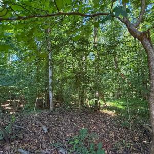 Photo #29 of 2216 Woodnell Dr, Raleigh, NC 0.5 acres