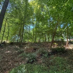 Photo #31 of 2216 Woodnell Dr, Raleigh, NC 0.5 acres
