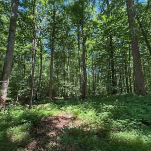Photo #32 of 2216 Woodnell Dr, Raleigh, NC 0.5 acres