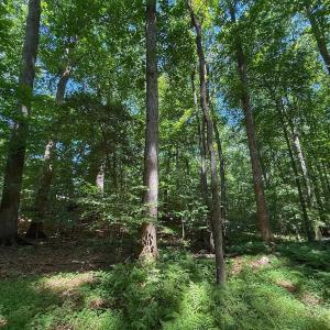 Photo #33 of 2216 Woodnell Dr, Raleigh, NC 0.5 acres