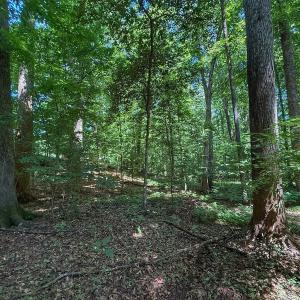 Photo #34 of 2216 Woodnell Dr, Raleigh, NC 0.5 acres