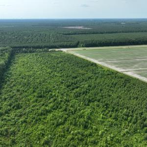 Photo #10 of Off Ocean Highway, Hertford, NC 140.0 acres