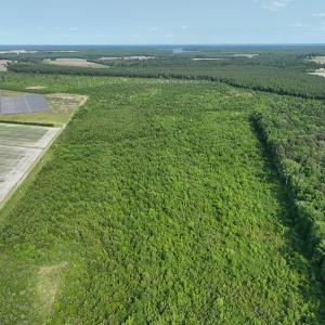 Photo #12 of Off Ocean Highway, Hertford, NC 140.0 acres