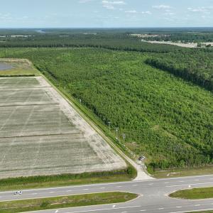 Photo #3 of Off Ocean Highway, Hertford, NC 140.0 acres