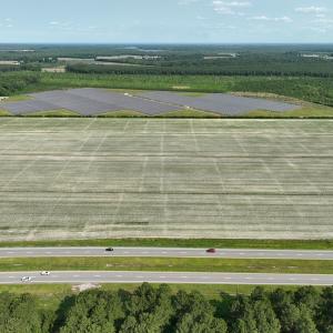 Photo #4 of Off Ocean Highway, Hertford, NC 140.0 acres