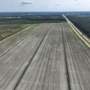 Photo #5 of Off Ocean Highway, Hertford, NC 140.0 acres