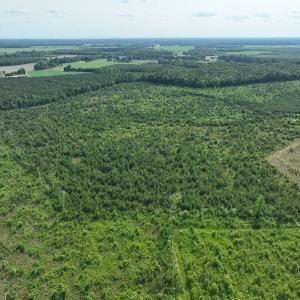 Photo #6 of Off Ocean Highway, Hertford, NC 140.0 acres