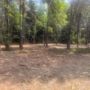 Photo #4 of Off Goodman Road, Lot 4, Pelham, NC 4.5 acres